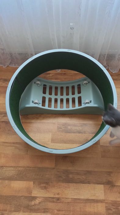 Roata alergare Pisica - Cat Wheel