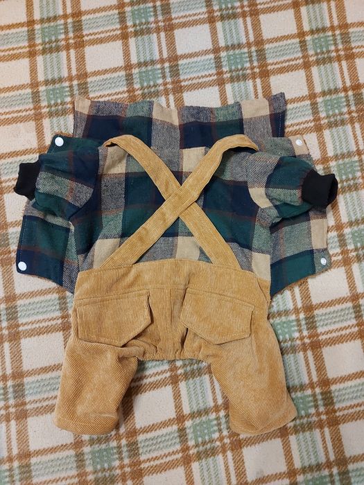 Одежда для собак.