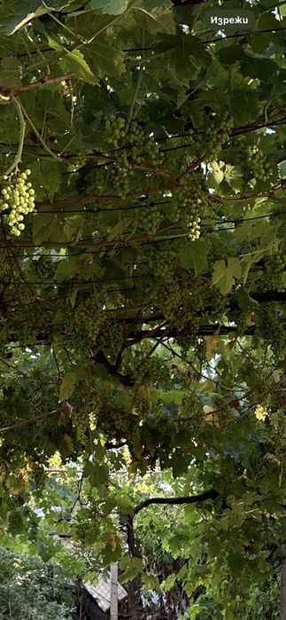 Продава се Къща в Бургас, Меден рудник - зона В - 100 кв.м за 450 €/кв.м - Снимка #9