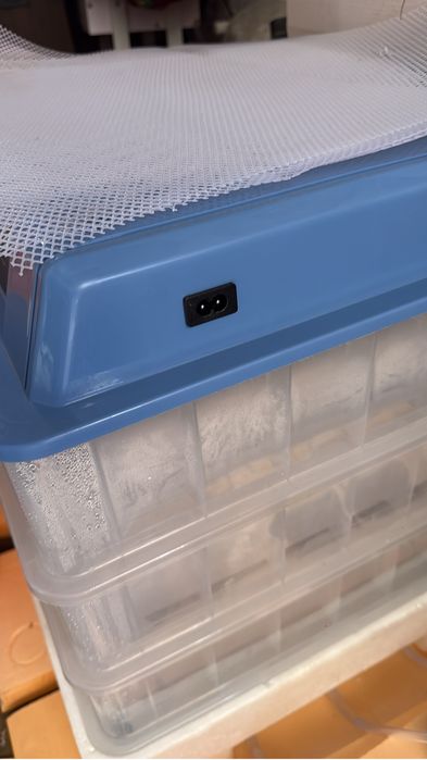 Завод инкубатор