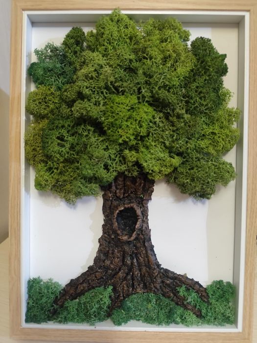 Картини от скандинавски мъх - природа във вашия дом