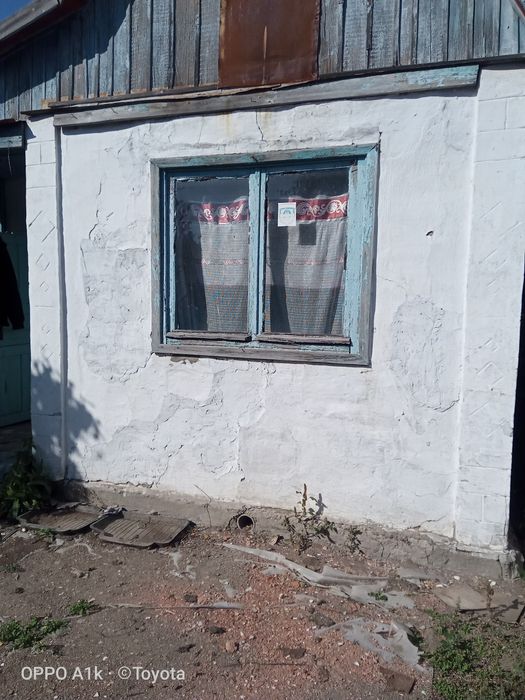 Дача в обществе "АЛМА"