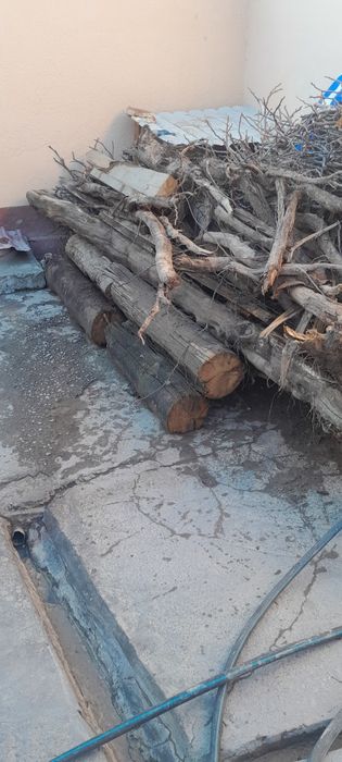 Утин ситилади крук