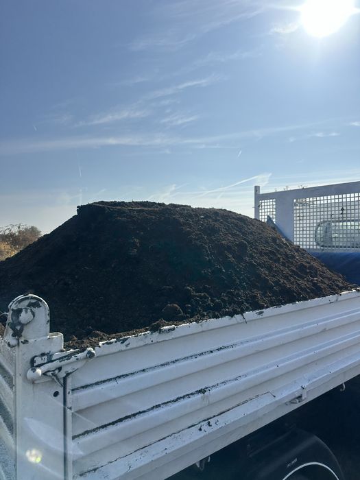 Mranita balegar putred