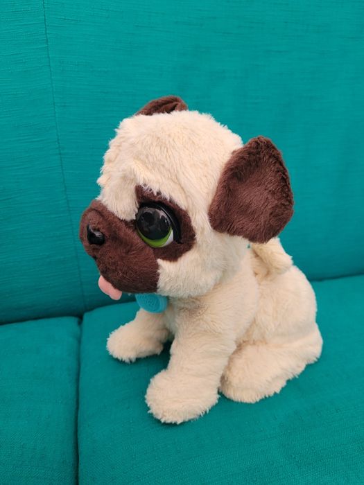 Plus interactiv Furreal catel