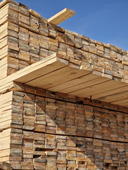 Агаш тактай (Пилометариал)