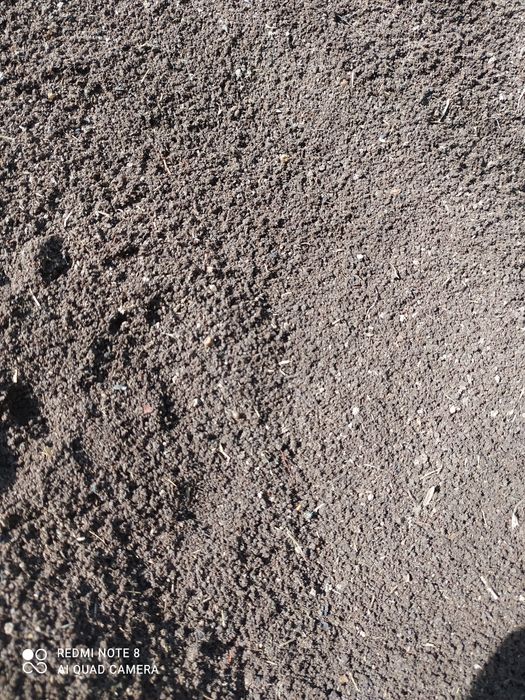 Biogumus va Kaliforniya qizil yomgir chuvalchanglari sotiladi.