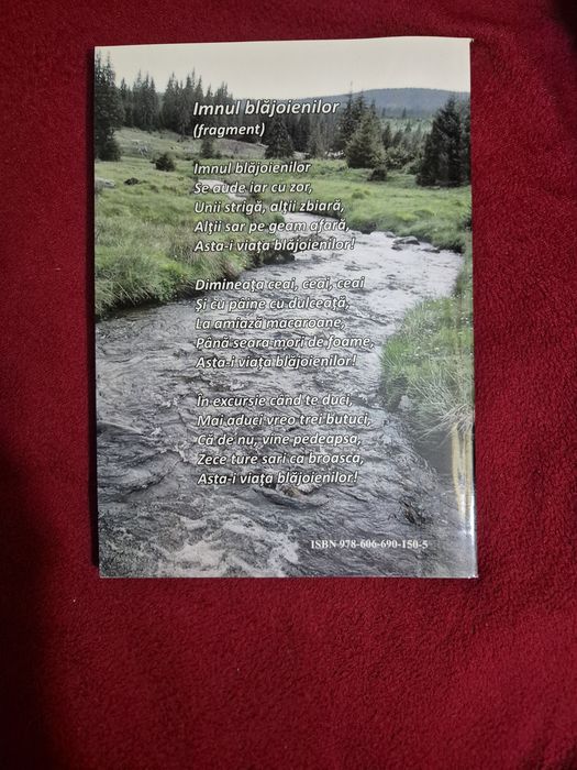 Povești din Blăjoaia – Aurel Buzgău | Carte rară, nostalgică