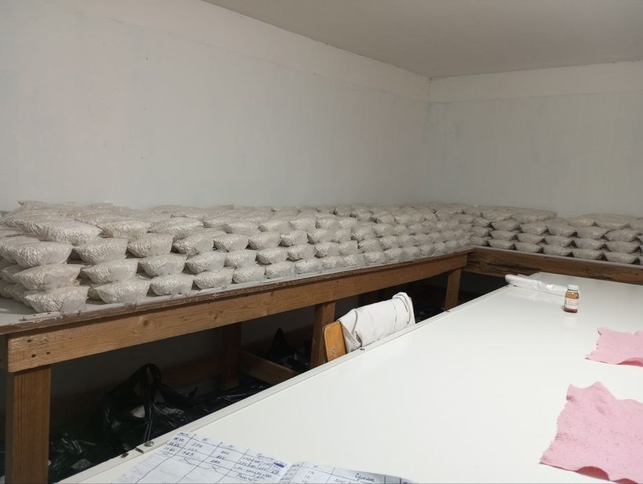 Готовые блоки Вешинки , Семена Грибов КА 17. Месистные.