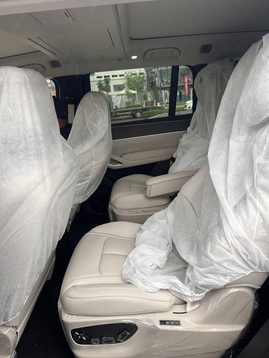 Denza N9 restailing! Srochna