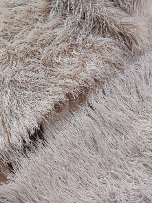 Аша китеник губер халище