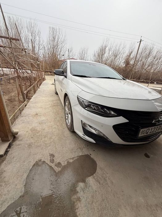 Malibu sotiladi 2023