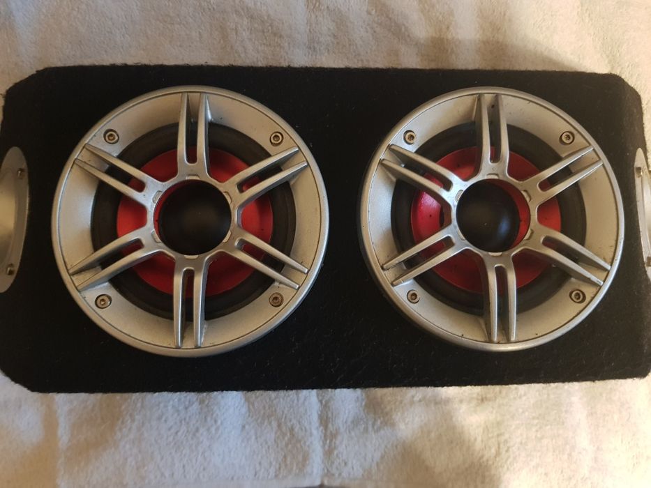 Subwoofer auto dual