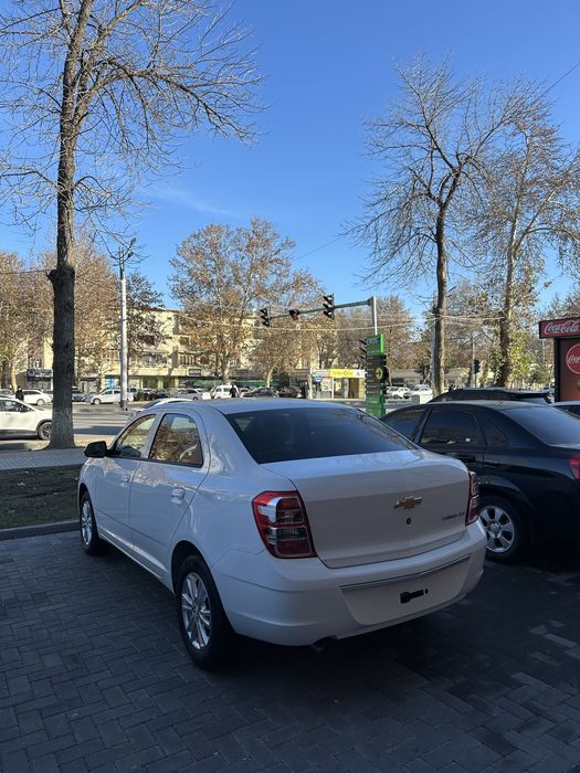 Kobalt pachka 2025 80km