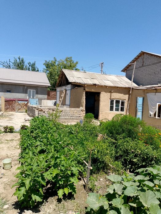 Dacha sotiladi Parkent tumani