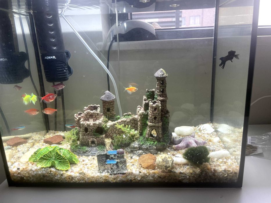 Продавам 40-литров аквариум „Aquael“.