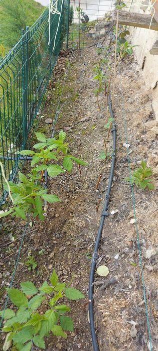 Изграждане на капково напояване и системи в парници градини и дворове