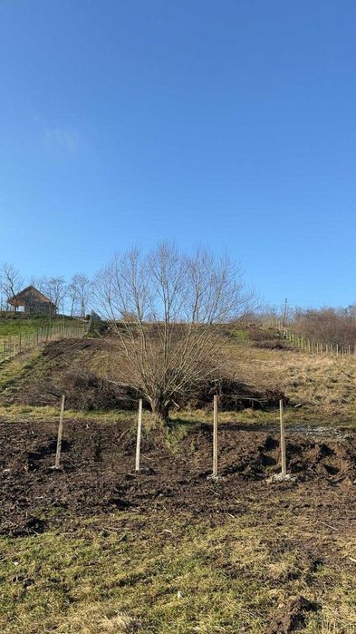 Teren de vanzare in Herneacova