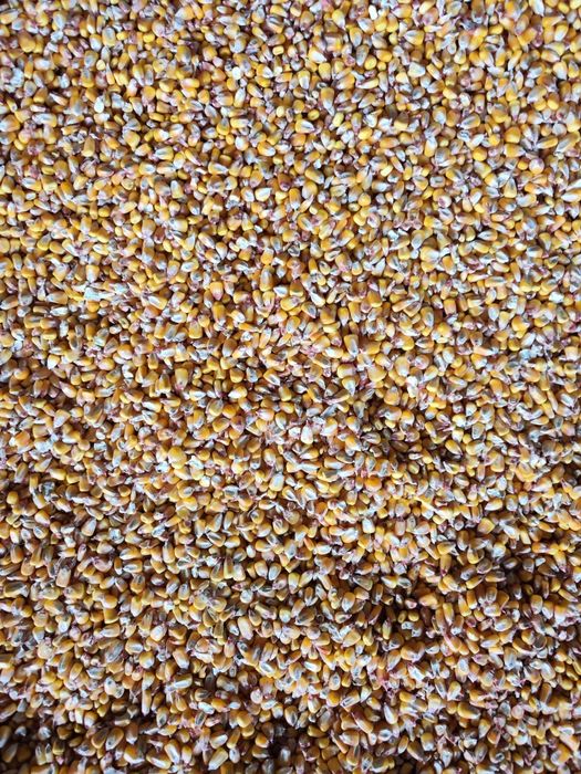 Cereale productie 2025