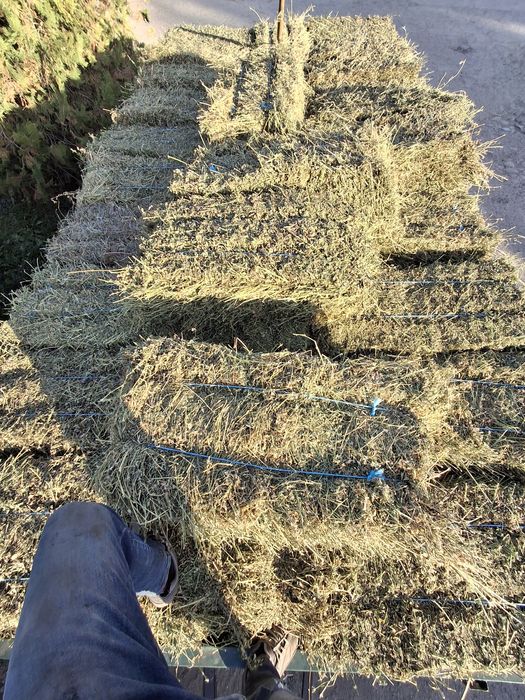 Baloti  de otava si lucerna