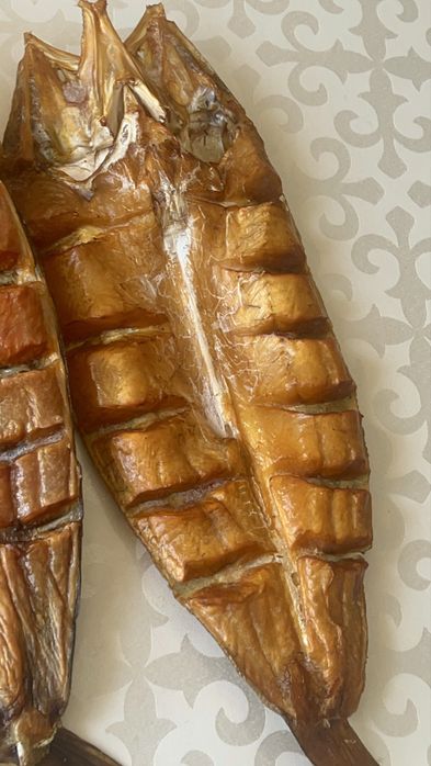 Жерех,сом, толстолоб