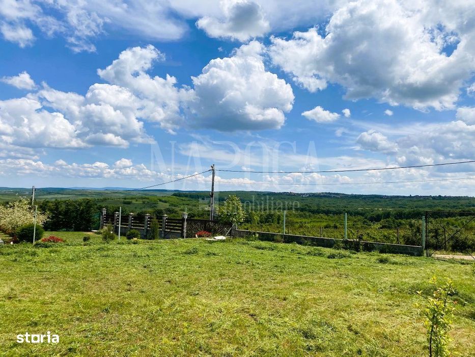 Teren intravilan pentru constructii de vanzare in Paleu, Oradea