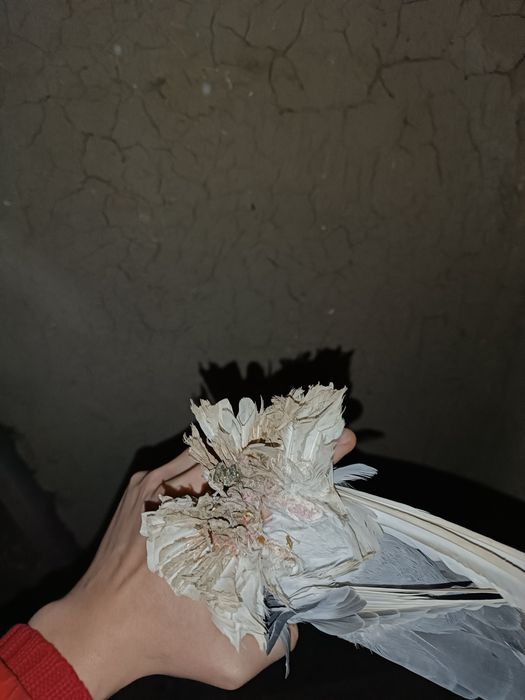 Продаю самца уды