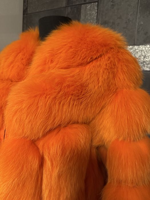 Haina blana vulpe