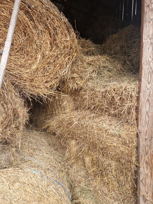 Vand baloti fan, otava, lucerna