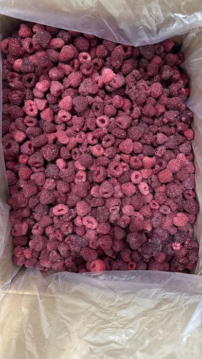 Замороженная отборная малина. Dona dona malina