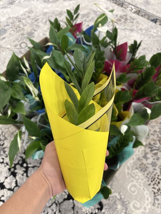 продам Цветы на горшке