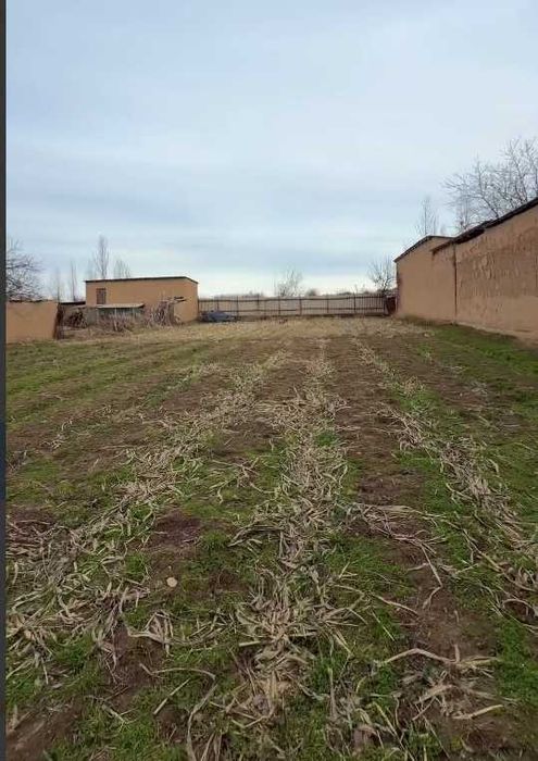 Маданият махаллада 8 сотули курук йер сотилади ! 7800 !