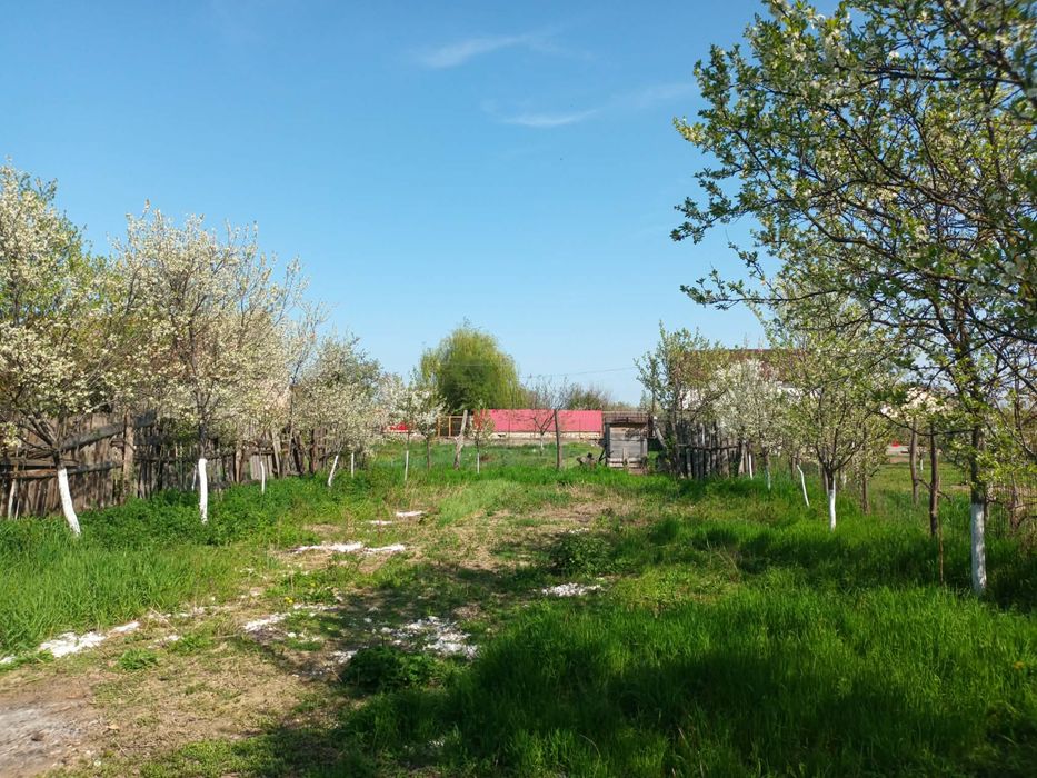 Casă de vânzare, Comuna Vințu De Jos, Sat Virpăr (Codrișor)