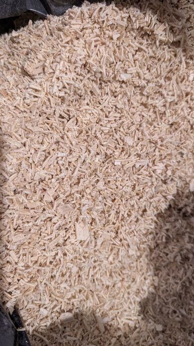 Чисти букови трици