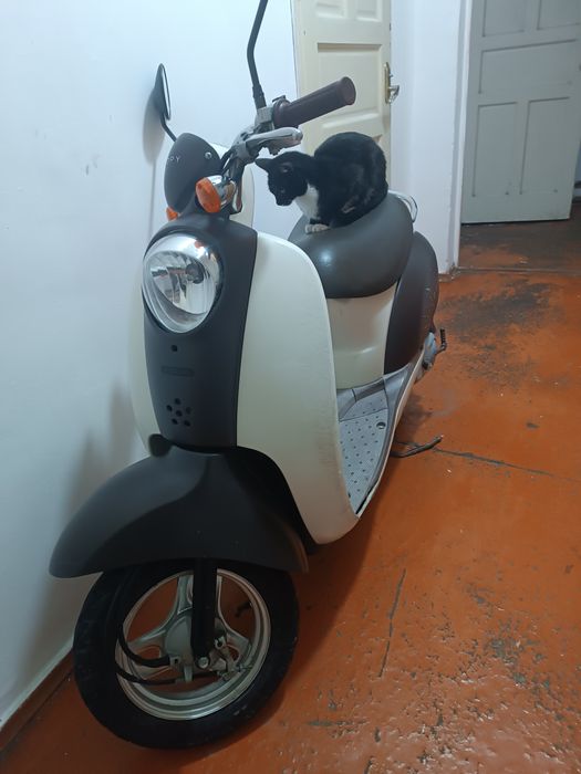 Хонда продам или обмен