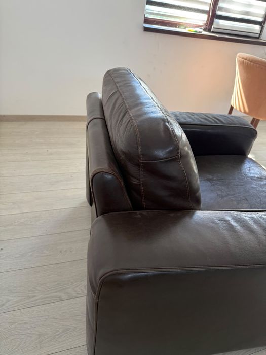 Fotolii Piele Naturala