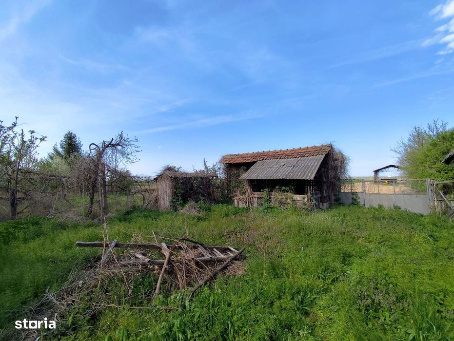 Casa la tara, gaz, acces auto, teren 4122 mp – Petid, Bihor