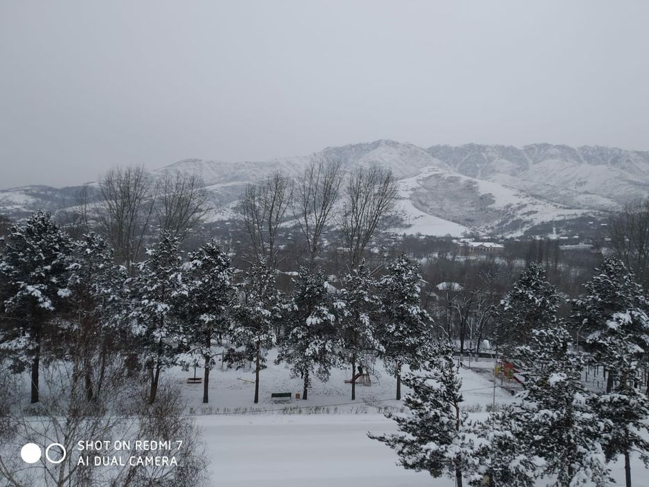 аренда посуточно