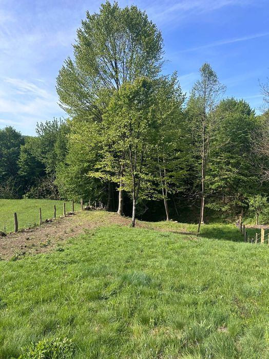 Teren intravilan Bughea de Sus - suprafata 3500m