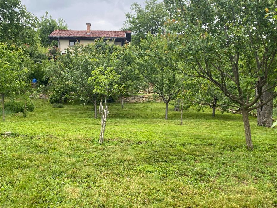 Озеленяване и поддръжка.