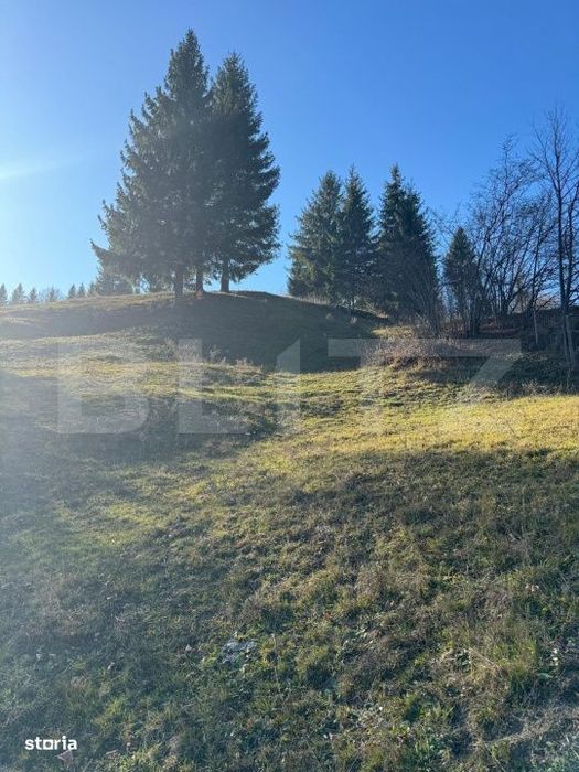 Teren in Vama, 13.050 mp, judetul Suceava, Bucovina, intravilan + extr