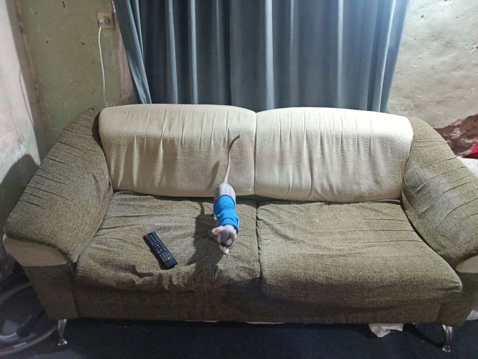 Диван  раскладной