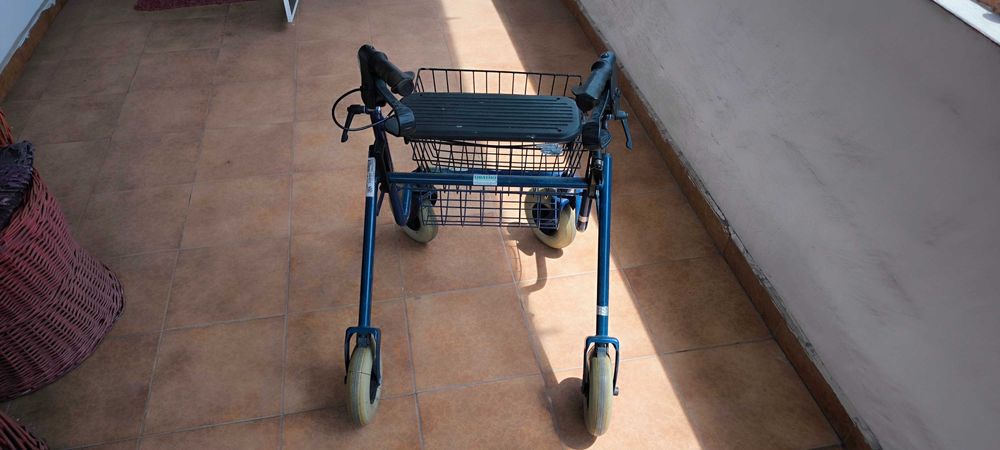 Căruț cu scaun pentru cumpărături !