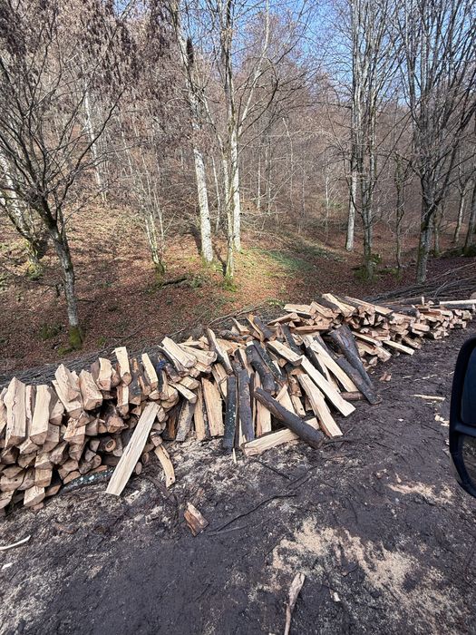 ‼️SC Vindem lemne de foc VERZI/USCATE [Fag,gorun,carpen,cer]