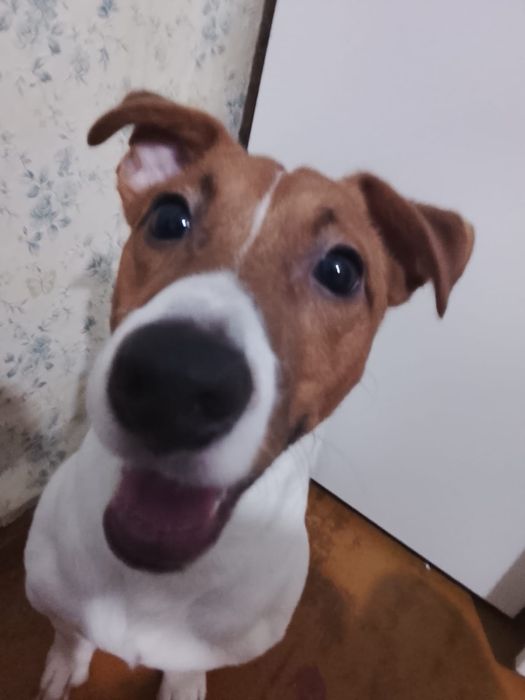 Мальчик ищет девочку