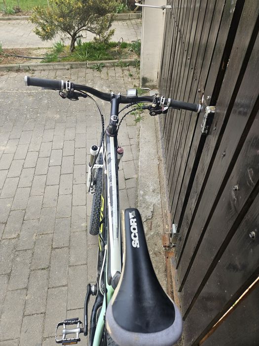 Bicicleta BIRK full carbon