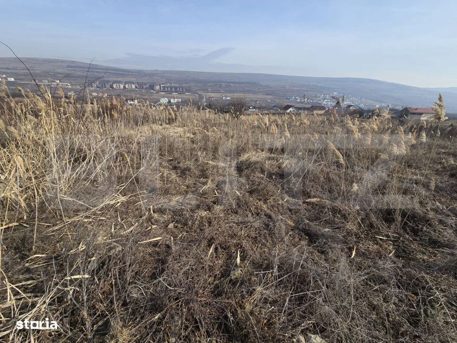 Teren Extravilan 6300 - potrivit pentru investitie