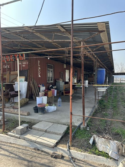 Xasanboy kensoyda yer soʻtigi 6000 dan