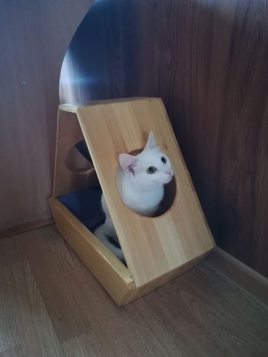 Домик для кошки "Мечта астронавта"