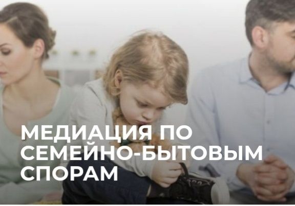 Профессиональный медиатор